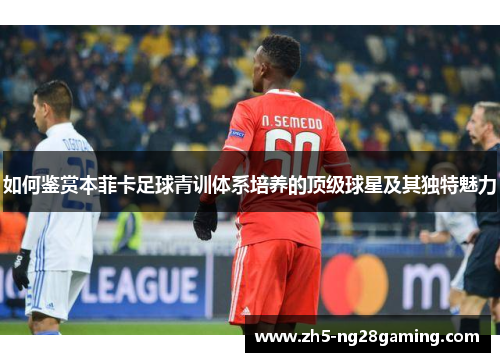 如何鉴赏本菲卡足球青训体系培养的顶级球星及其独特魅力