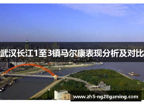 武汉长江1至3镇马尔康表现分析及对比