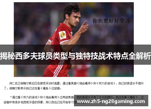 揭秘西多夫球员类型与独特技战术特点全解析