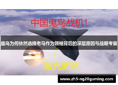 魔鸟为何依然选择老马作为领袖背后的深层原因与战略考量