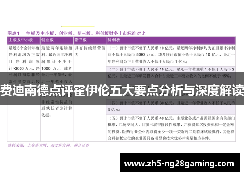 费迪南德点评霍伊伦五大要点分析与深度解读